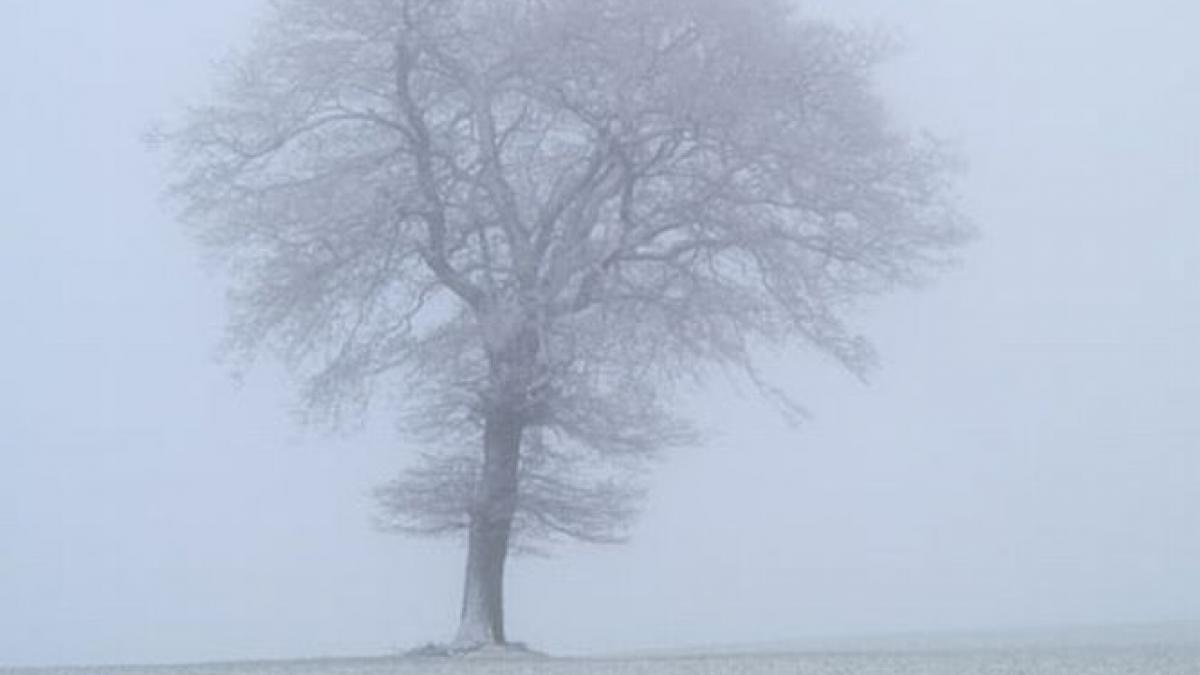 avertizare de ceata pentru capitala si 19 judete vizibilitatea este redusa sub 200 de metri