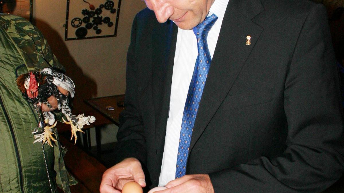 deziluzia optica cine a fost mai intai oul sau gainarul