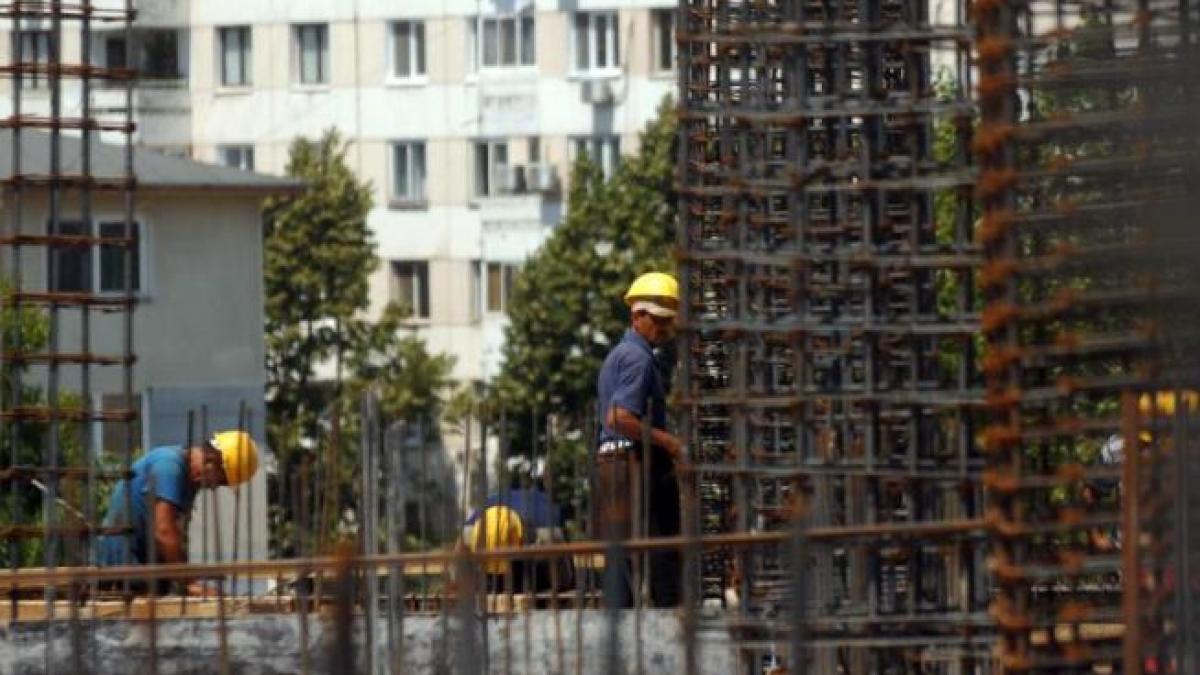 income in top la case si masini