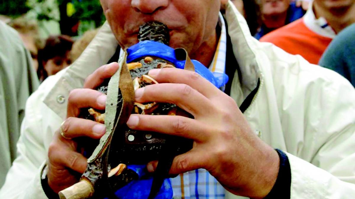 deziluzia optica plosca cu puii de aur