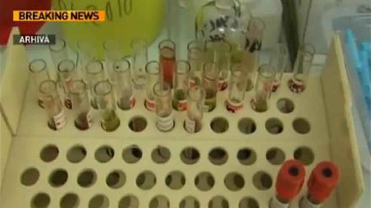 sute de analize medicale pentru hiv falsificate la spitalul judetean din targu jiu