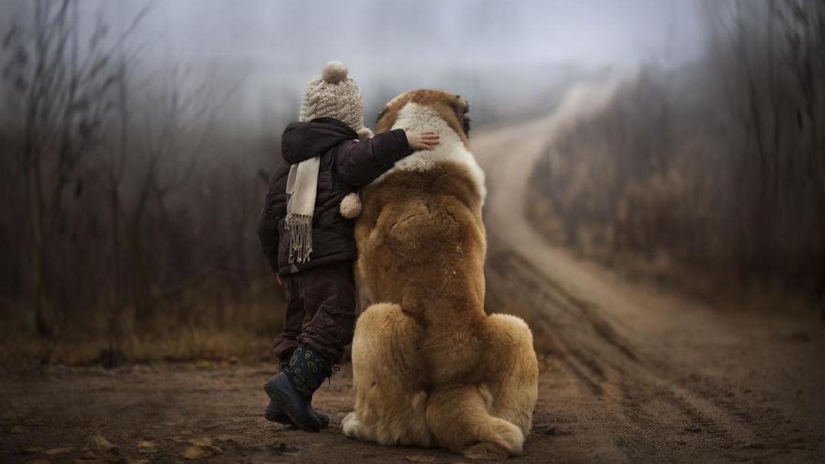 fotografii magice facute de o rusoaica la ferma ei asta este dragoste pura