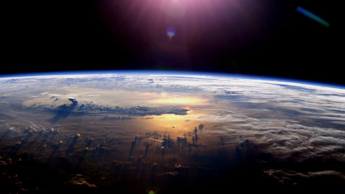 nasa a trimis 800 de furnici in spatiu pentru a le observa comportamentul