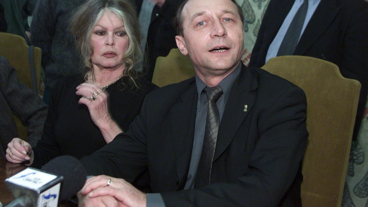 deziluzia optica doamna si vagabondul