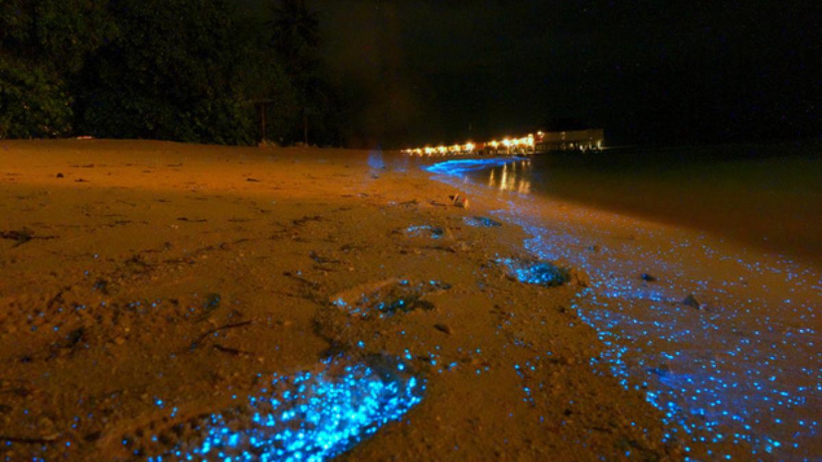 aceasta este cea mai frumoasa plaja din lume nisipul este ca cerul instelat noaptea