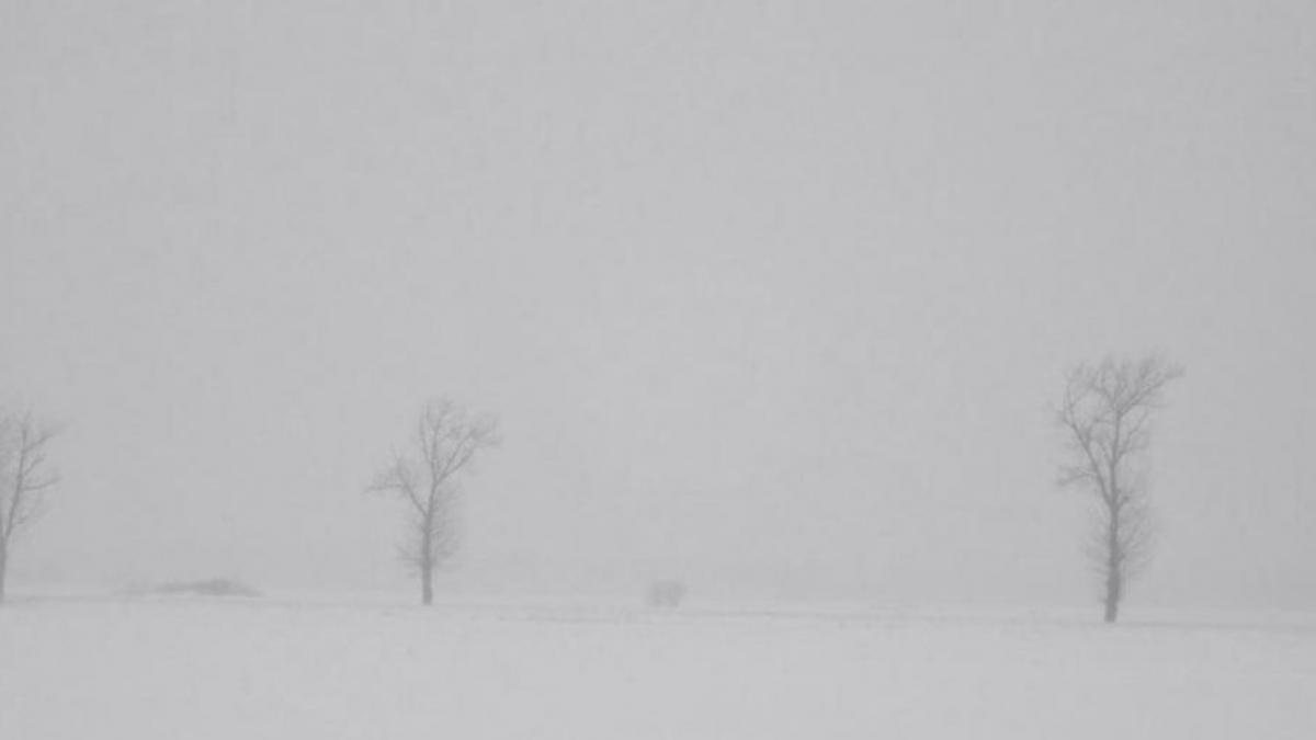 mai multe localitati din ilfov si arges au ramas in bezna din cauza ninsorii abundente