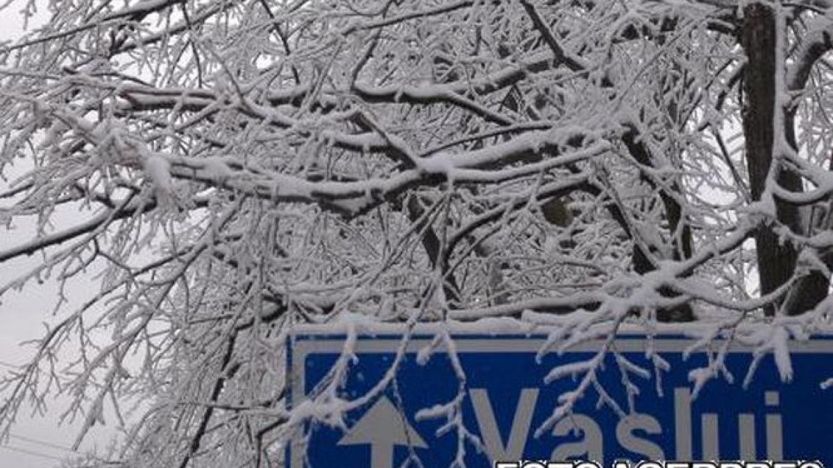 tragedie in vaslui o batrana a fost gasita inghetata in curtea unei rude