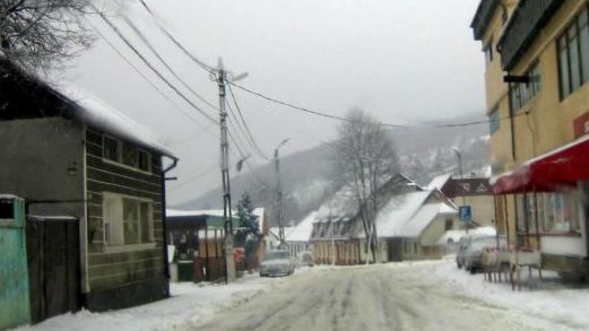 un sofer de camion care livra materiale pentru o reparatie in judetul ilfov a murit