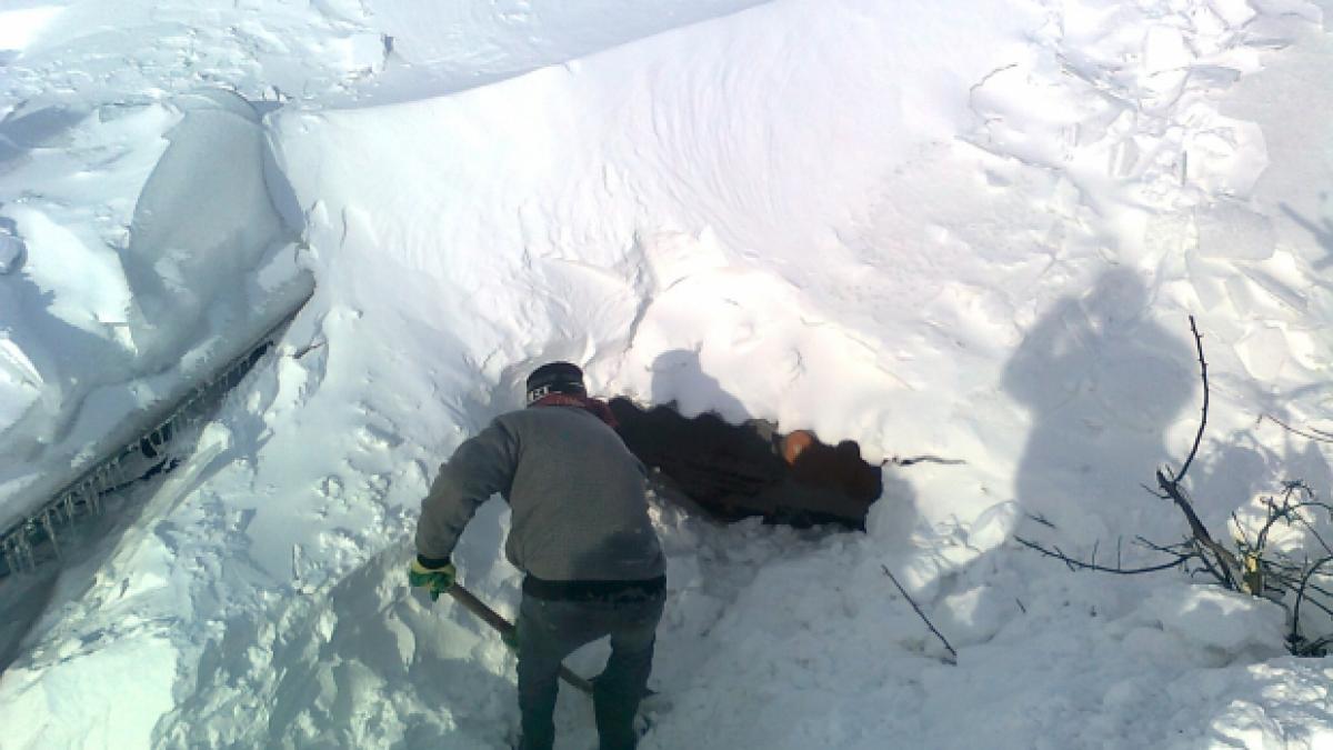 oamenii sapa tuneluri prin zapada nametii sunt cat casa iar blestemul inca nu s a terminat ne