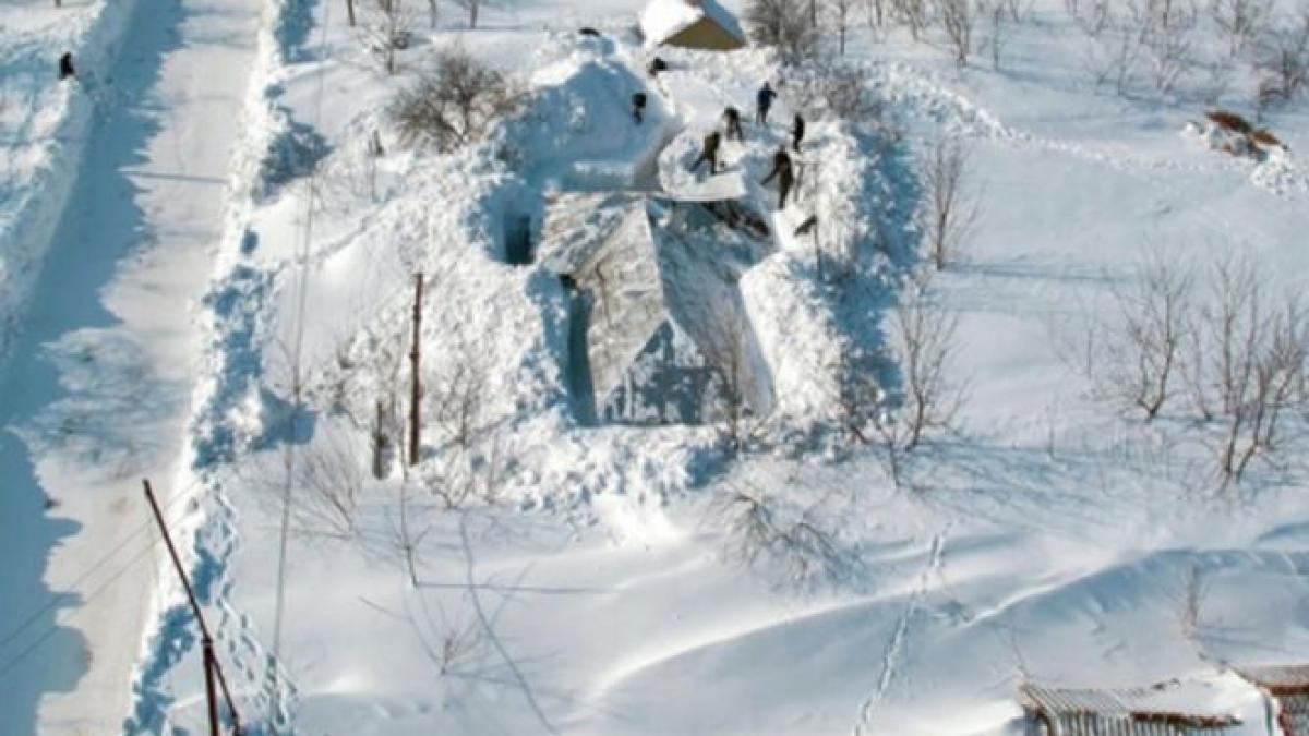 masina cu paine nu a putut intra in localitate va rugam sa ne ajutati scrie ne la adresa de e mail