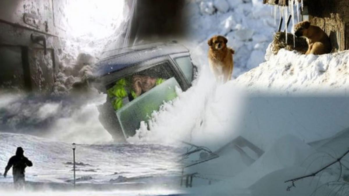 viscolul puternic a facut ravagii in buzau militarii au pornit sa deschida drumul spre satele