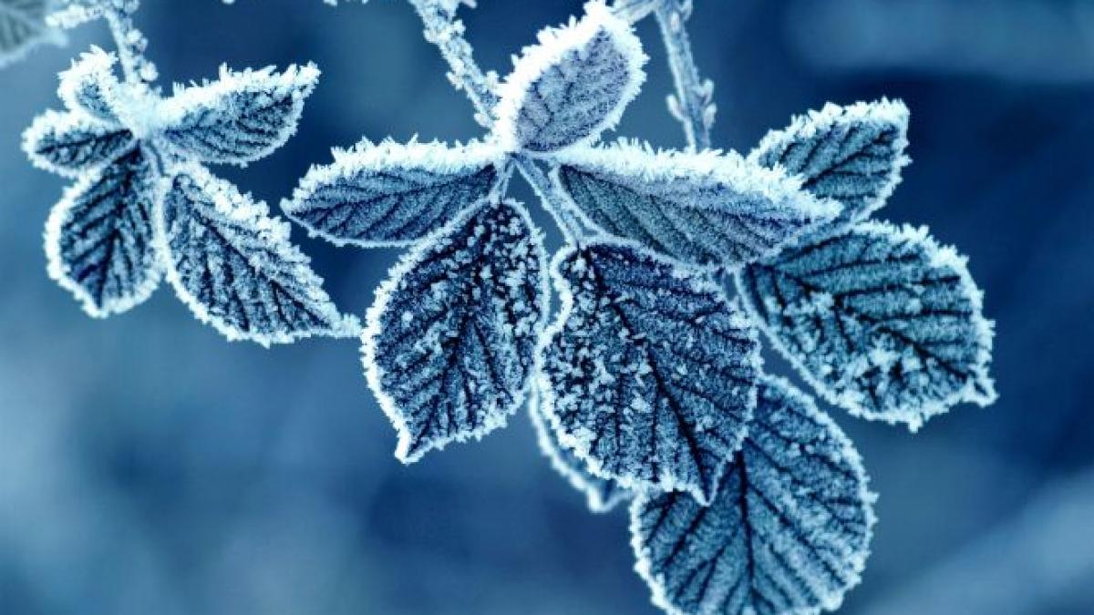cea mai scazuta temperatura din aceasta iarna minus 25 3 grade la miercurea ciuc