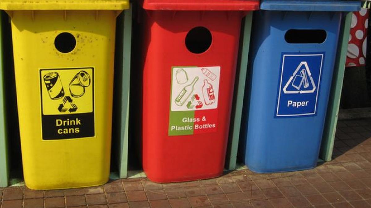 proiectul de lege privind obligativitatea colectarii selective a deseurilor adoptat de camera