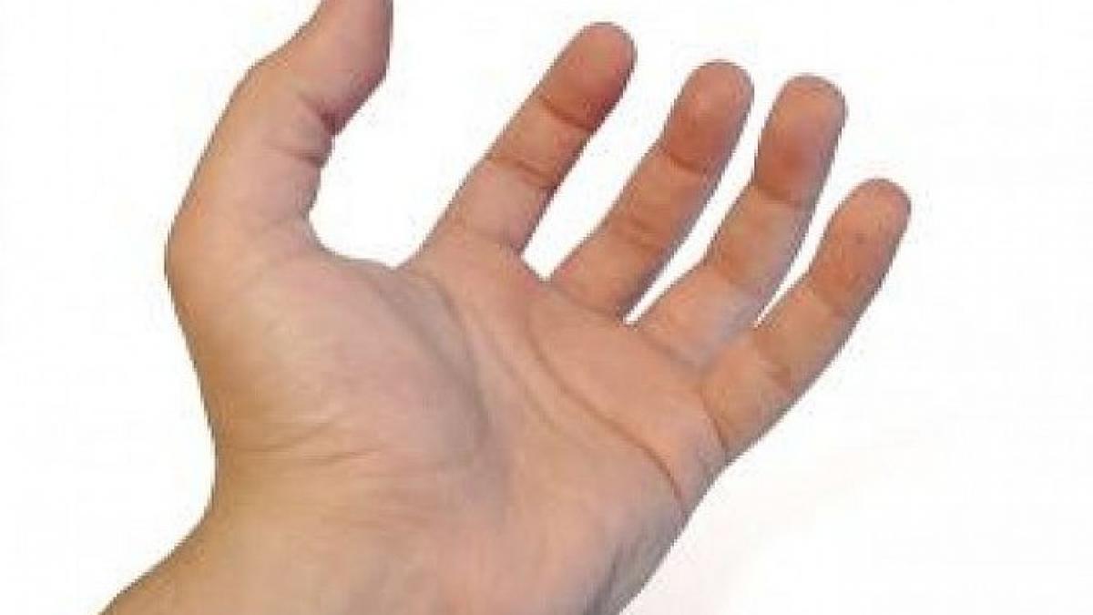 fiscul musca mana care il hraneste un om de afaceri sustine ca a fost muscat de un functionar public