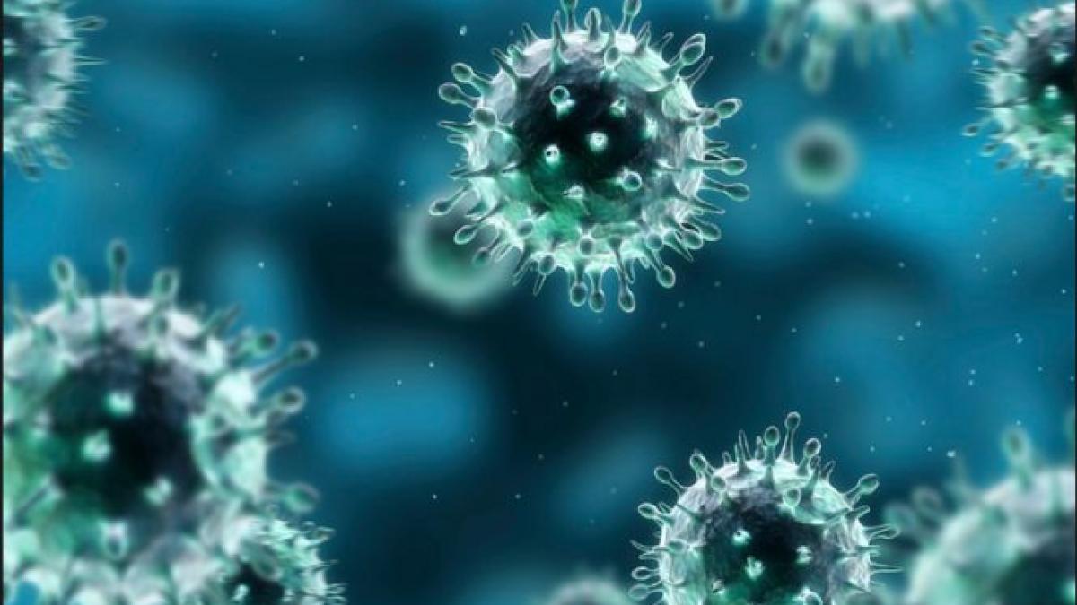 risc de pandemie o noua tulpina a virusului gripei aviare ii ingrijoreaza pe oamenii de stiinta