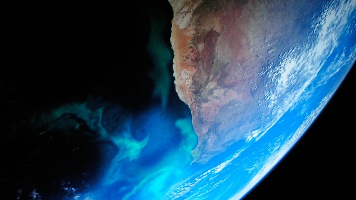 un specialist in evolutie arunca bomba ce se va intampla cu una din cele mai raspandite specii de