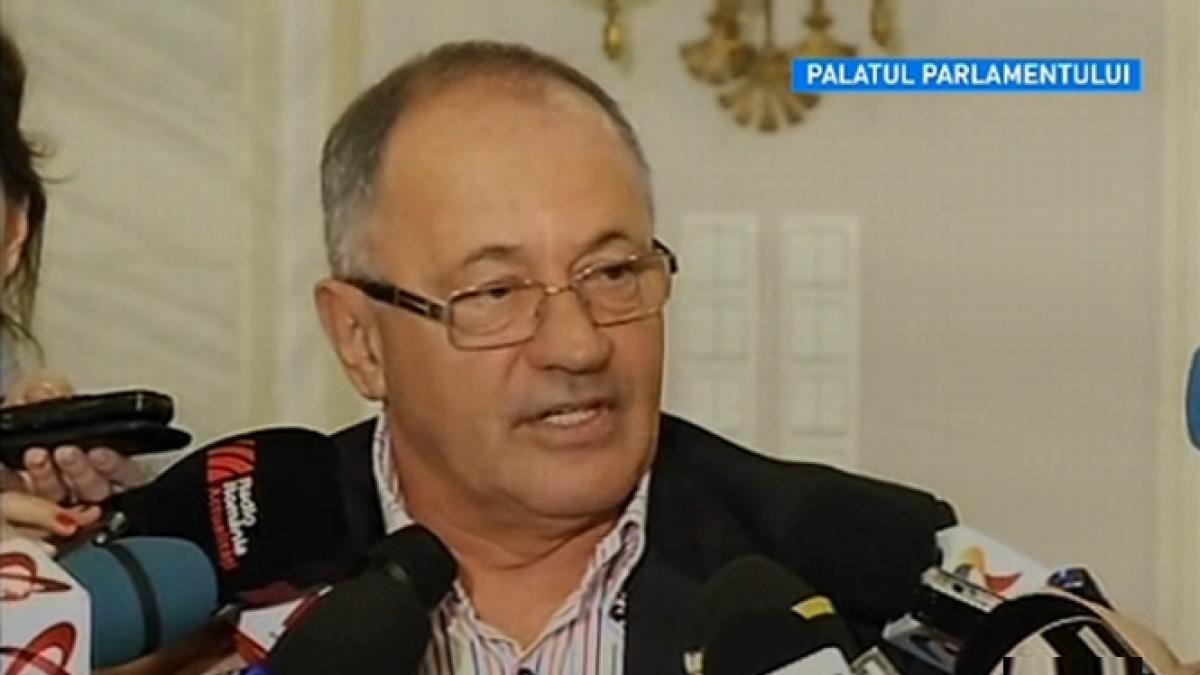 excluderea lui sorin rosca stanescu din pnl a fost validata in delegatia permanenta