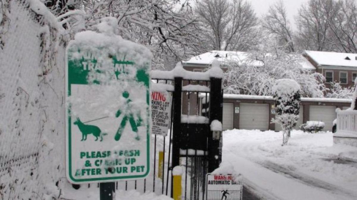 gerul furtunile si ninsorile paralizeaza europa autoritatile din slovenia au infiintat centre de