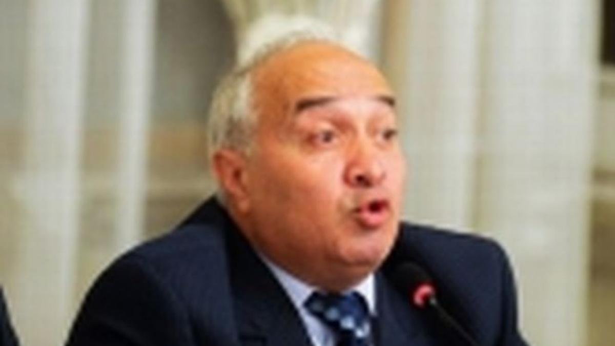 comisia nana vrea aducerea cu mandat a lui adrian radulescu