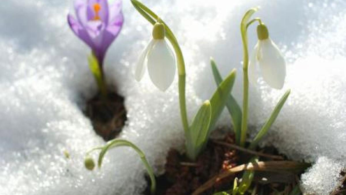 vreme de primavara cu pana la 16 grade celsius in urmatoarele doua saptamani