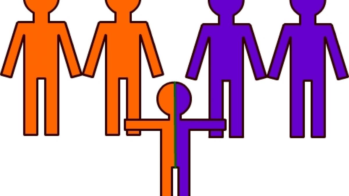 2 iunie ziua nationala a adoptiilor propunerea legislativa sustinuta de toate grupurile parlamentare