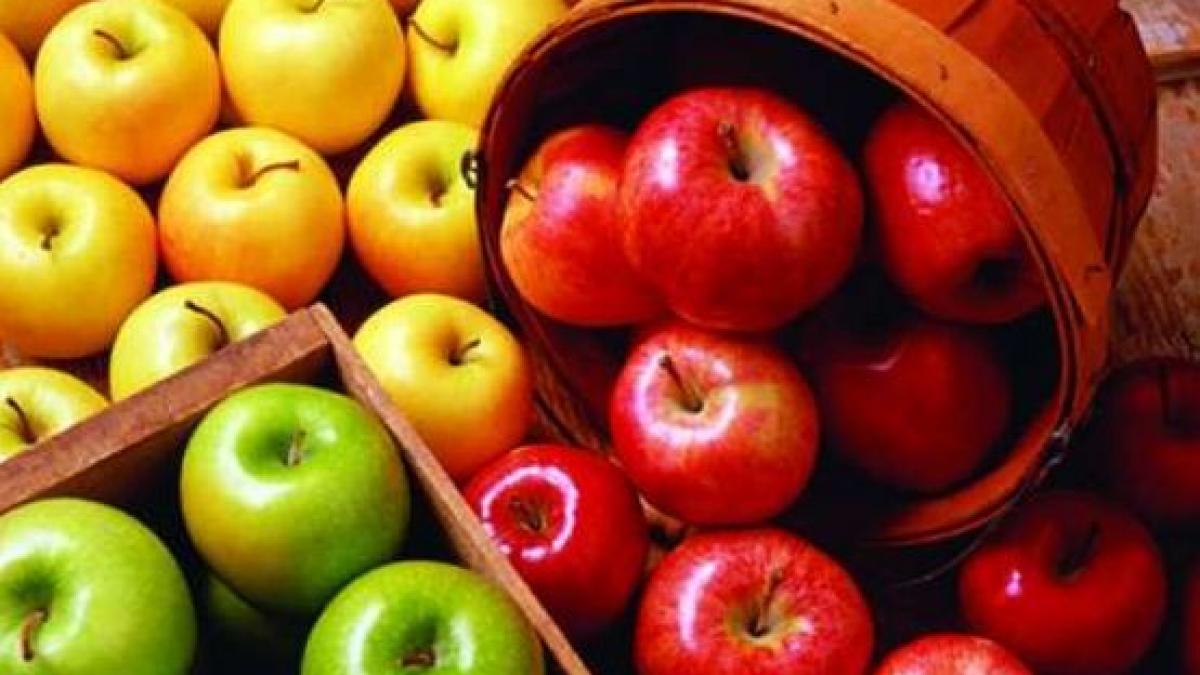 ambasadorul frantei e o aberatie sa cumperi mere din polonia cand romania este un paradis agricol