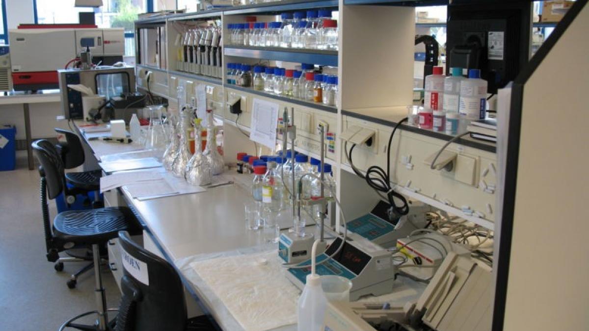 cum arata animalul care traieste vesnic oamenii de stiinta inca nu isi pot explica misterul