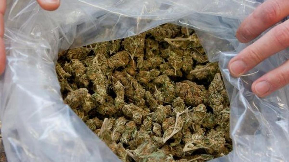 2 tone de marijuana au fost confiscate in albania iarba urma sa ajunga in italia si grecia