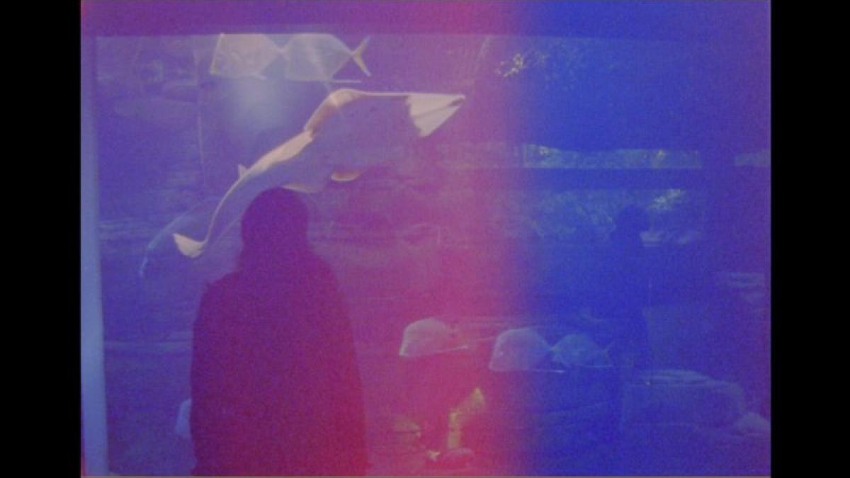 despre dragoste si frumusete la editia a opta next is love si next look