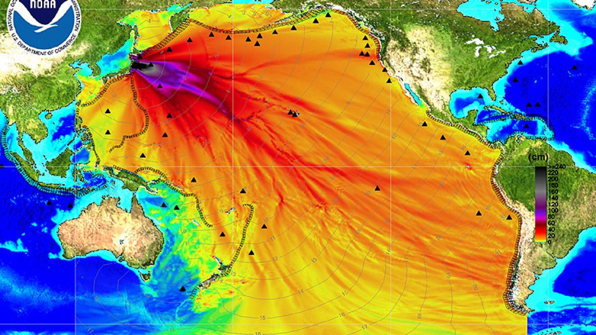 poluarea este fara precedent ce au anuntat autoritatile de la fukushima