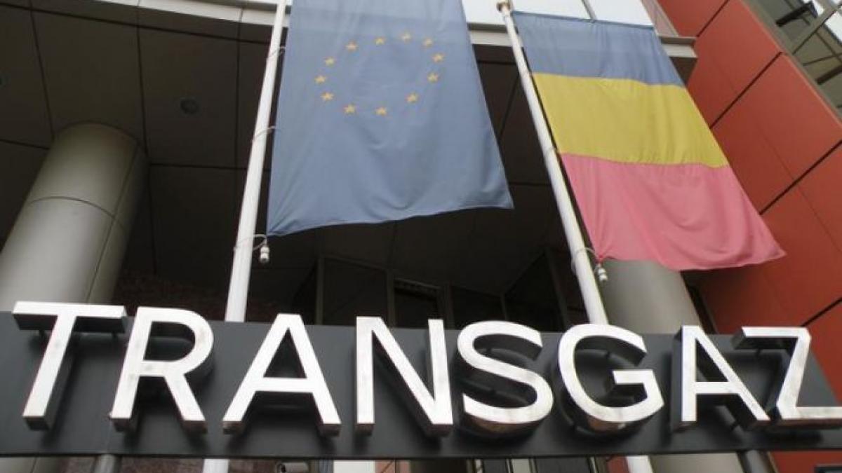 transelectrica si transgaz au fost transferate prin ordonanta de urgenta de la ministerul