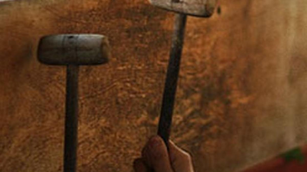 patriarhie arhiepiscopia sucevei infirma ca iulia ionescu ar fi fost la vreo manastire in judet