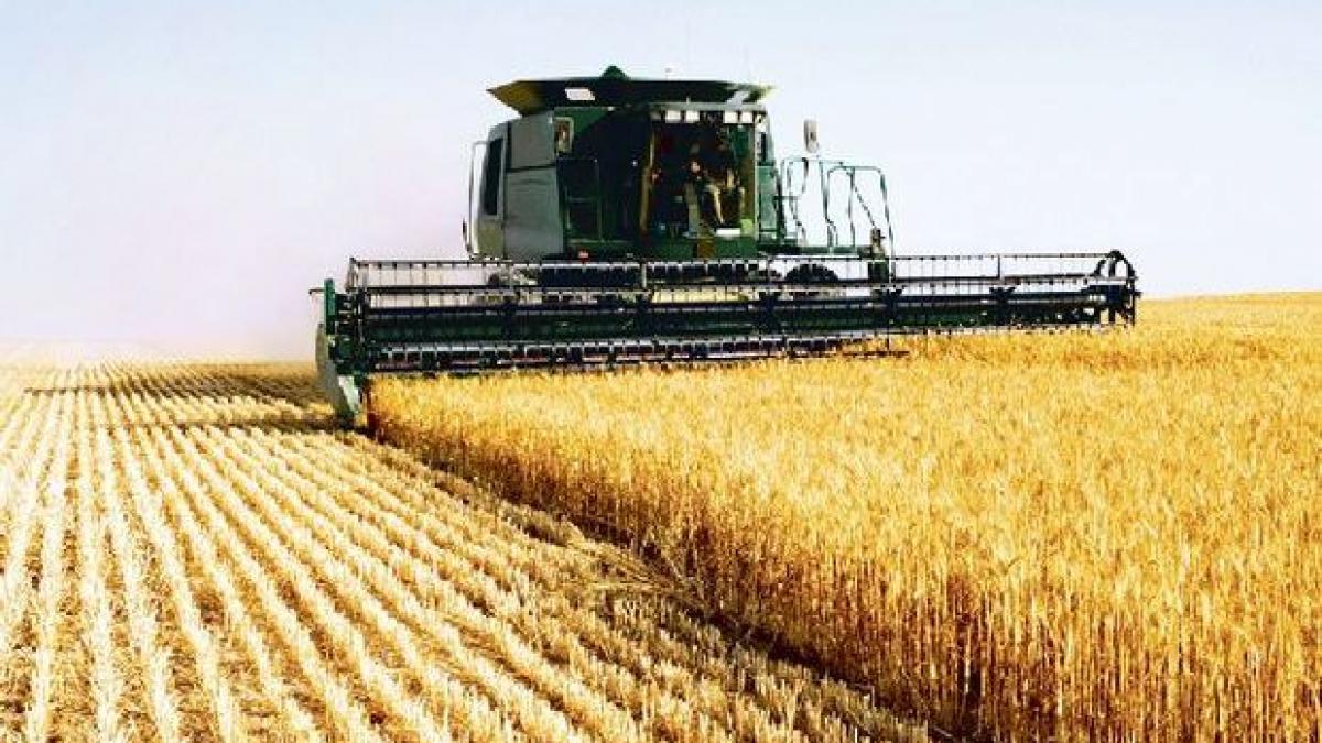 romania tigrul europei articolul din financial times care vorbeste despre minunea romaneasca