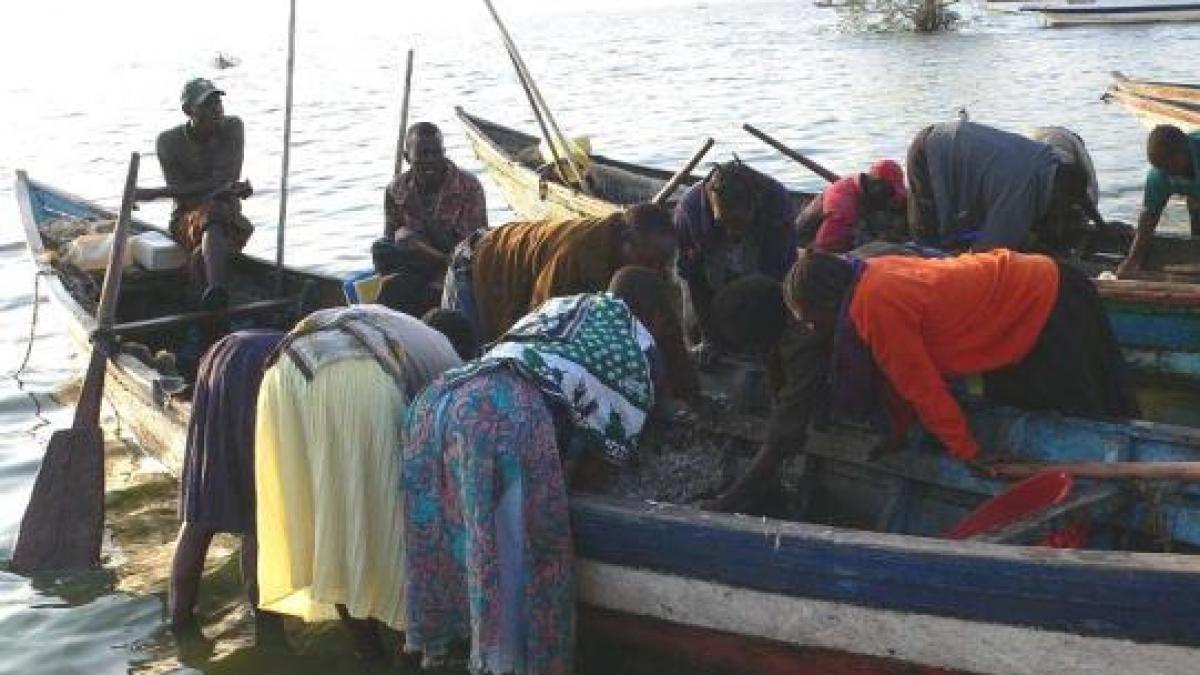 jaboya practica ce socheaza lumea civilizata asa sunt nevoita sa imi achit facturile