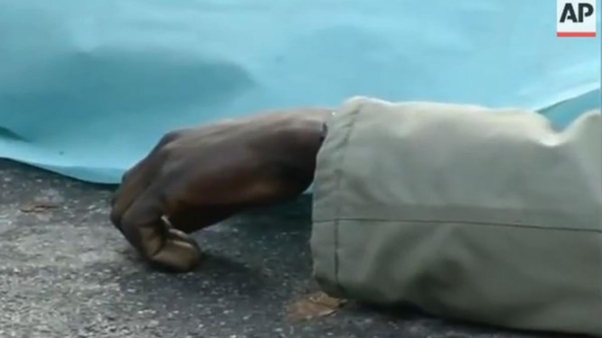 sute de imigranti intampinati de o ploaie de gloante de cauciuc 14 din ei au murit