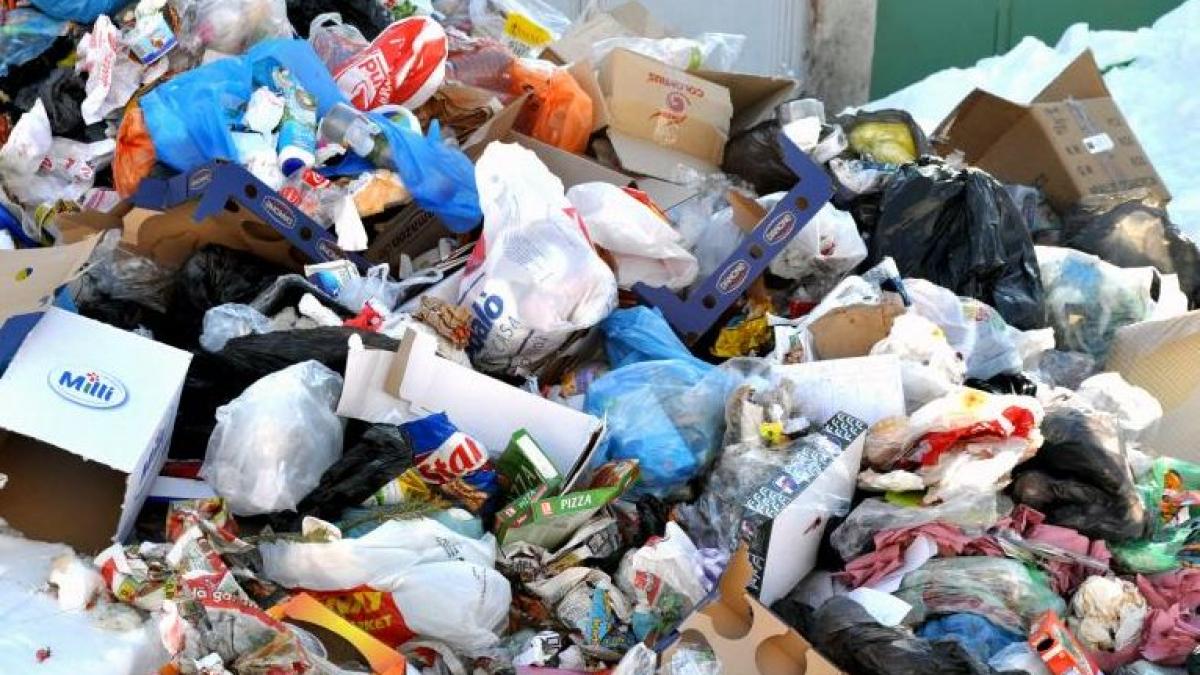 infiorator cadavrul unui nou nascut a fost gasit intr o cutie de carton de la rampa de gunoi fagaras