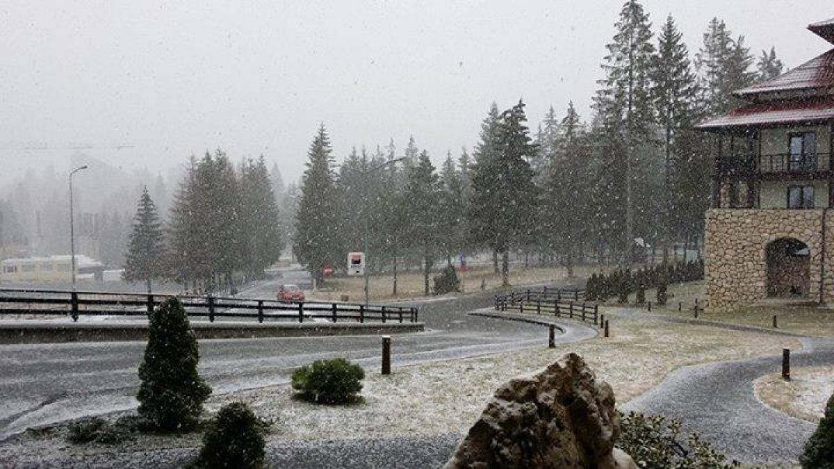 se intorc ninsorile unde a nins deja in aceasta dimineata