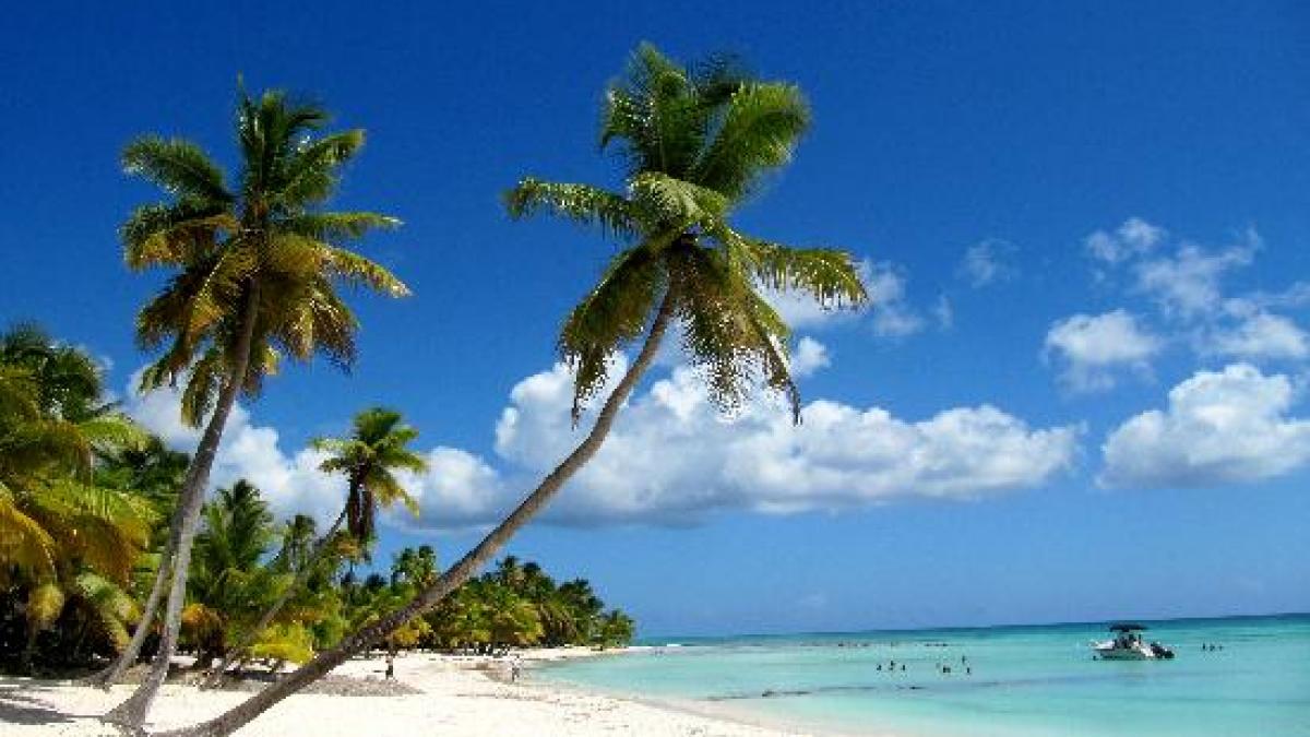 insula saona probabil cel mai frumos loc din republica dominicana