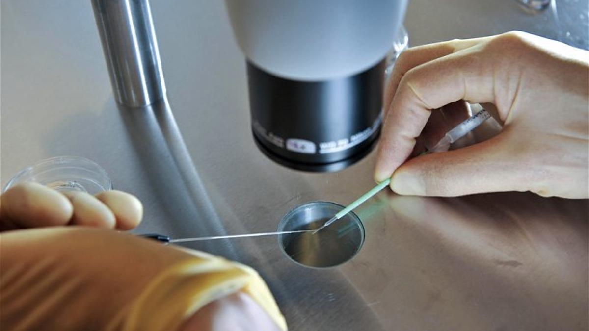 vom crea bebelusi umani modificati genetic anuntul facut de cea mai mare putere a lumii