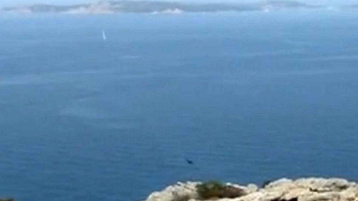 sardinia propusa spre vanzare elvetiei