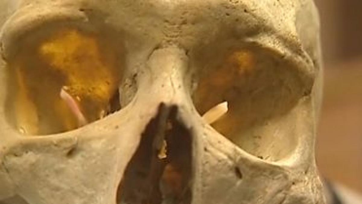 negotul cu oase umane infloreste iar autoritatile se fac ca nu observa