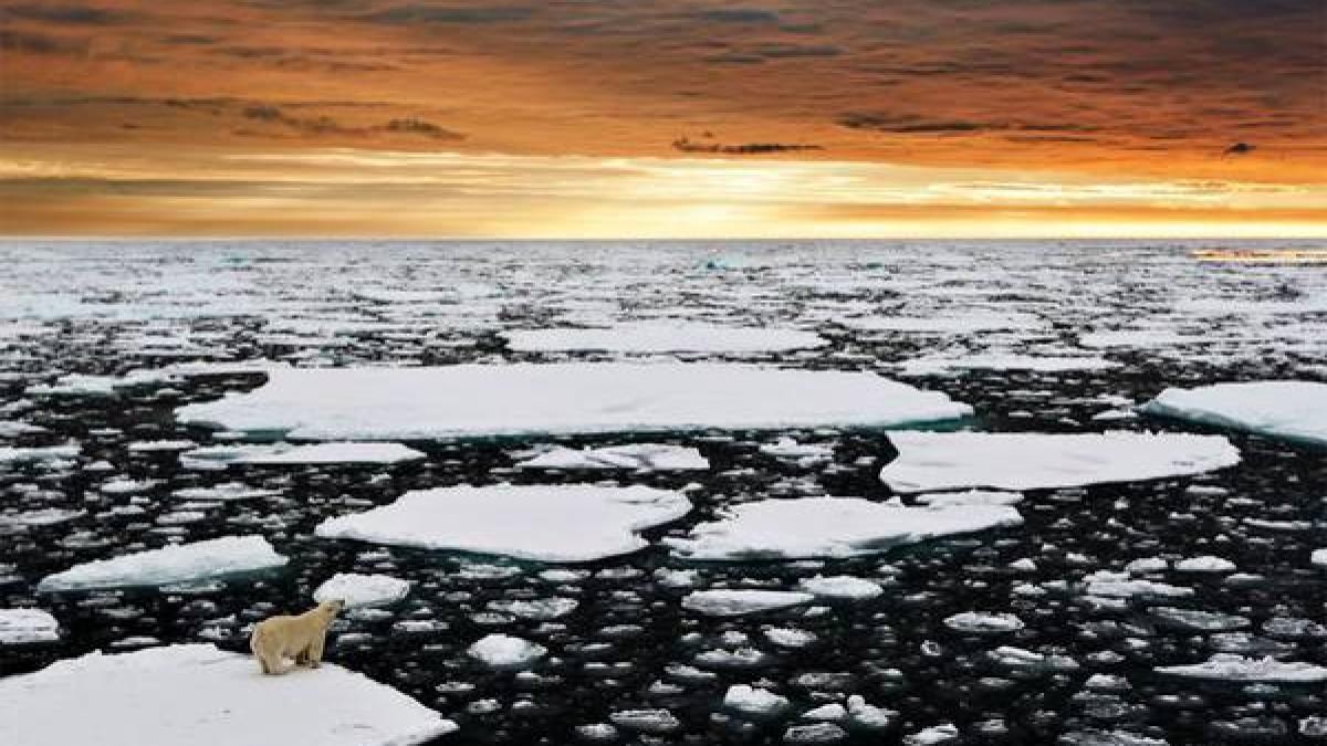 aceste imagini au facut inconjurul lumii putem vedea cu ochii nostri efectele devastatoare ale