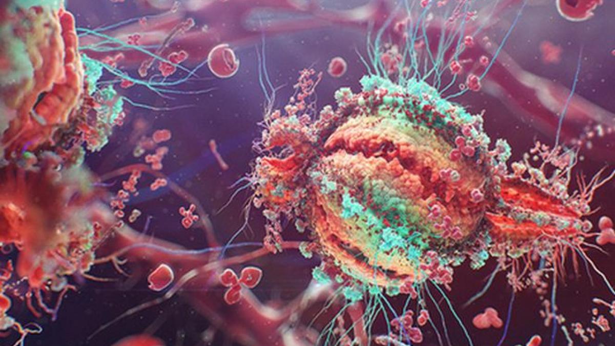 rezultate pozitive in lupta contra sida un bebelus nascut seropozitiv nu mai prezinta urme de