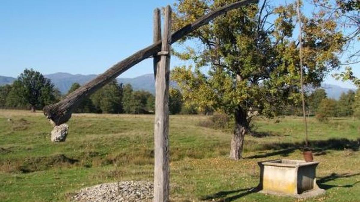 apa otravita dupa ce panza freatica a fost poluata cu ingrasaminte chimice vom primi ajutor de la