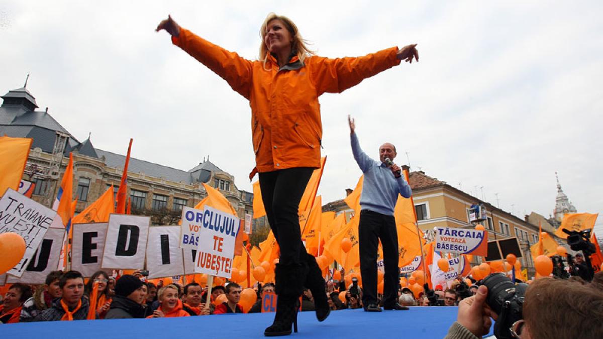 deziluzia optica dansand cu lupii de mare