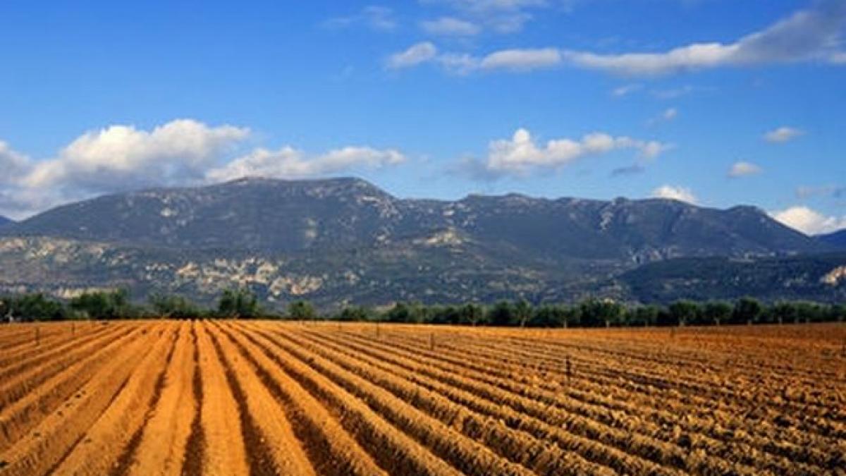 romania sub asediu strainii au devenit stapani pe o treime din pamanturile noastre