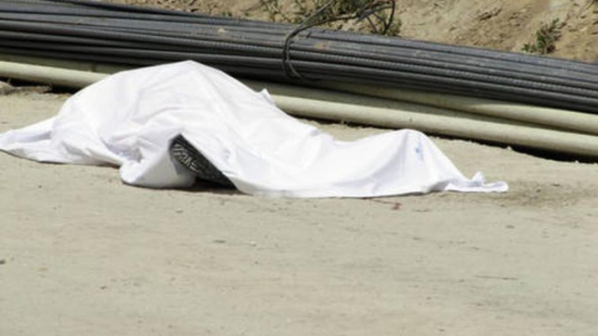 descoperire macabra la marginea unei sosele din braila cadavrul unei femei gasit sfasiat de caini