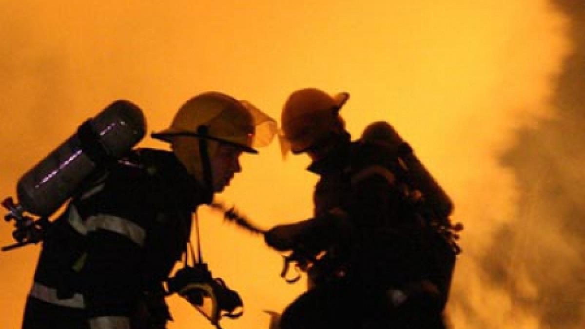 incendiu la o fabrica de prelucrare a lemnului din judetul covasna