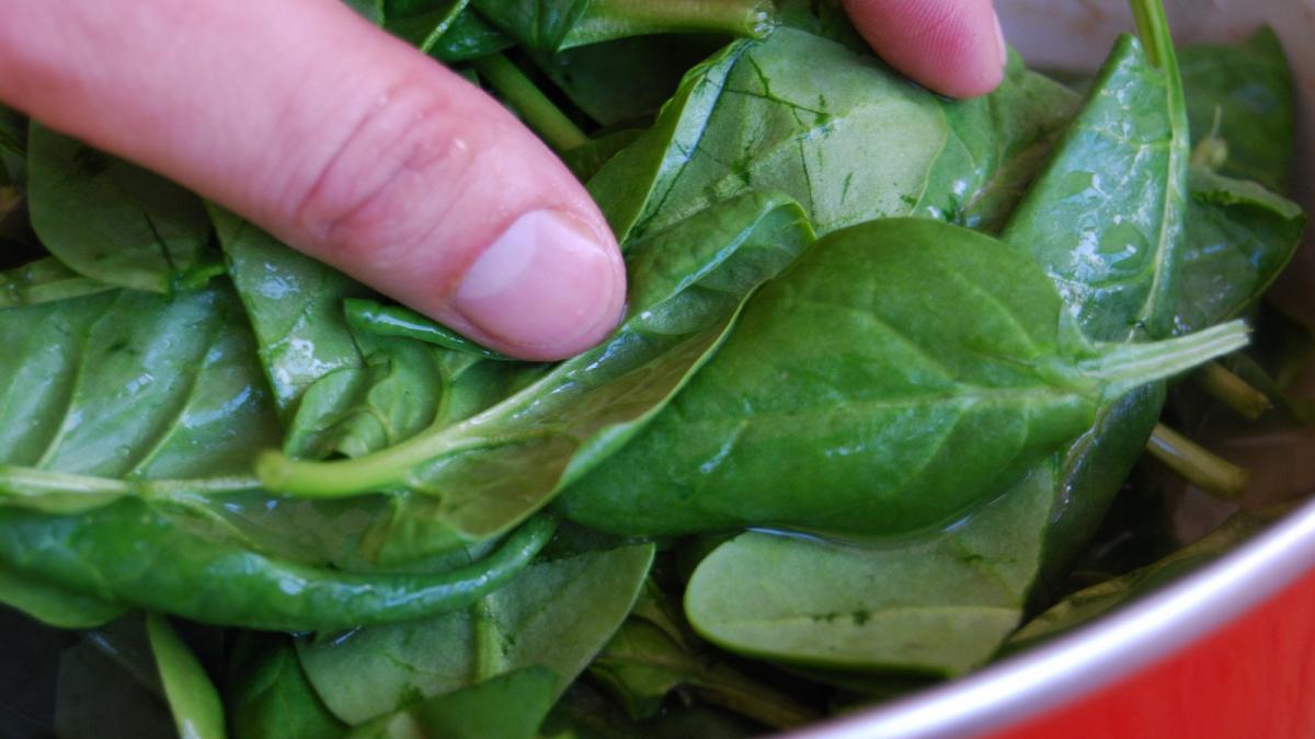 ce se intampla in corpul tau in momentul in care mananci spanac efectele sunt vizibile