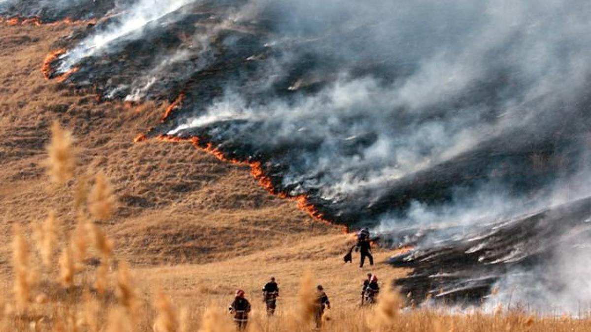 incendiile de vegetatie au distrus hectare intregi de padure si miriste in harghita oamenii au pus